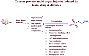 Graphical abstract: Mechanism of the protective action of taurine in toxin and drug induced organ pathophysiology and diabetic complications: a review