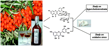 Graphical abstract: Protective effects of a novel sea buckthorn wine on oxidative stress and hypercholesterolemia