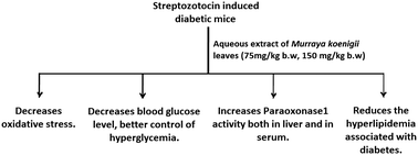 Graphical abstract: An aqueous extract of Murraya koenigii leaves induces paraoxonase 1 activity in streptozotocin induced diabetic mice