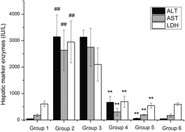 Graphical abstract: Protective effect of naringenin against acetaminophen-induced acute liver injury in metallothionein (MT)-null mice