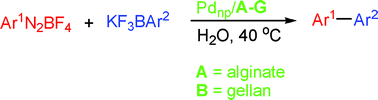 Graphical abstract: Suzuki-Miyaura cross-coupling of arenediazonium salts catalyzed by alginate/gellan-stabilized palladium nanoparticles under aerobic conditions in water