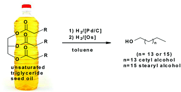 Graphical abstract: Homogeneous catalytic hydrogenation of long-chain esters by an osmium pincer complex and its potential application in the direct conversion of triglycerides into fatty alcohols