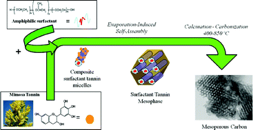 Graphical abstract: Direct synthesis of ordered mesoporous polymer and carbon materials by a biosourced precursor