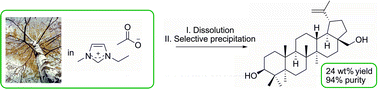 Graphical abstract: New aspects for biomass processing with ionic liquids: towards the isolation of pharmaceutically active betulin