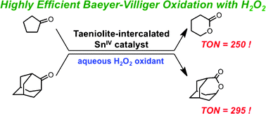 Graphical abstract: Preparation of clay-supported Sn catalysts and application to Baeyer–Villiger oxidation