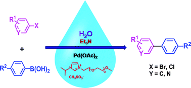 Graphical abstract: Poly(ethylene glycol)-functionalized imidazolium salts–palladium-catalyzed Suzuki reaction in water