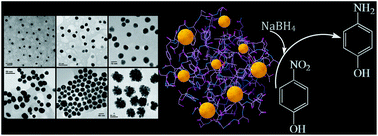 Graphical abstract: Synthesis, characterization and catalytic activity of gold nanoparticles biosynthesized with Rhizopus oryzae protein extract