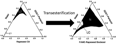 Graphical abstract: Microemulsions with renewable feedstock oils