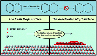 Graphical abstract: Activated carbon supported molybdenum carbides as cheap and highly efficient catalyst in the selective hydrogenation of naphthalene to tetralin