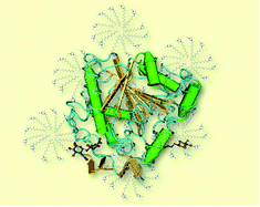 Graphical abstract: Ionic liquids microemulsions: the key to Candida antarctica lipase B superactivity