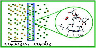 Graphical abstract: Impact of α-d-glucose pentaacetate on the selective separation of CO2 and SO2 in supported ionic liquid membranes