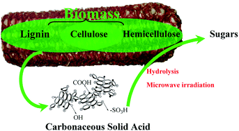 Graphical abstract: Effective saccharification of lignocellulosic biomass over hydrolysis residue derived solid acid under microwave irradiation