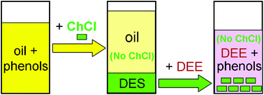 Graphical abstract: Efficient separation of phenols from oils via forming deep eutectic solvents