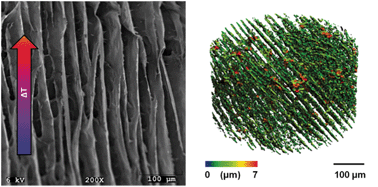 Graphical abstract: Nanoreinforced xylan–cellulose composite foams by freeze-casting