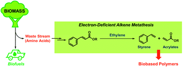 Graphical abstract: Simultaneous production of biobased styrene and acrylates using ethenolysis