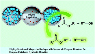 Graphical abstract: Immobilization and stabilization of subtilisin Carlsberg in magnetically-separable mesoporous silica for transesterification in an organic solvent