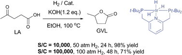 Graphical abstract: Highly efficient hydrogenation of biomass-derived levulinic acid to γ-valerolactone catalyzed by iridium pincer complexes