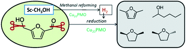 Graphical abstract: One-pot reduction of 5-hydroxymethylfurfural via hydrogen transfer from supercritical methanol