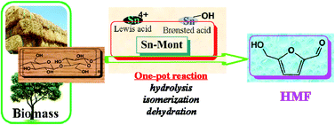 Graphical abstract: Direct conversion of carbohydrates to 5-hydroxymethylfurfural using Sn-Mont catalyst