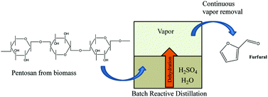 Graphical abstract: Enabling integrated biorefineries through high-yield conversion of fractionated pentosans into furfural