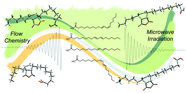 Graphical abstract: Sustainable and efficient methodology for CLA synthesis and identification