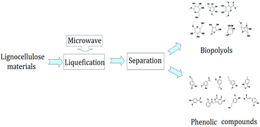 Graphical abstract: Renewable chemical feedstocks from integrated liquefaction processing of lignocellulosic materials using microwave energy