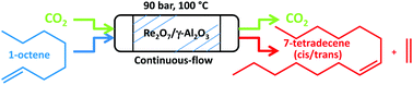 Graphical abstract: Continuous-flow alkene metathesis: the model reaction of 1-octene catalyzed by Re2O7/γ-Al2O3 with supercritical CO2 as a carrier