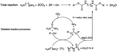 Graphical abstract: A new route of CO2 catalytic activation: syntheses of N-substituted carbamates from dialkyl carbonates and polyureas