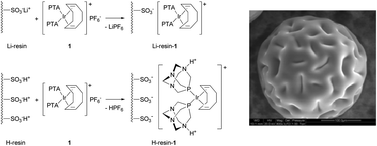 Graphical abstract: Facile heterogeneous catalytic hydrogenations of C [[double bond, length as m-dash]] N and C [[double bond, length as m-dash]] O bonds in neat water: anchoring of water-soluble metal complexes onto ion-exchange resins