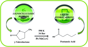 Graphical abstract: Ce promoted Pd–Nb catalysts for γ-valerolactone ring-opening and hydrogenation