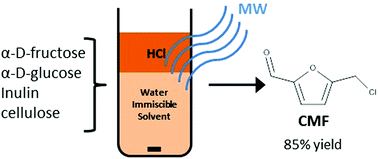 Graphical abstract: Microwave heating for rapid conversion of sugars and polysaccharides to 5-chloromethyl furfural