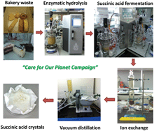 Graphical abstract: Valorisation of bakery waste for succinic acid production