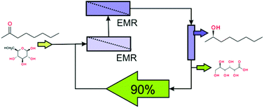 Graphical abstract: Enantioselective reduction of sparingly water-soluble ketones: continuous process and recycle of the aqueous buffer system