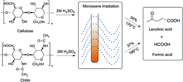 Graphical abstract: Microwave-assisted conversion of carbohydrates to levulinic acid: an essential step in biomass conversion