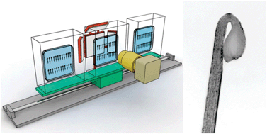 Graphical abstract: A high-throughput imaging system to quantitatively analyze the growth dynamics of plant seedlings