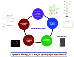 Graphical abstract: Biological network modeling identifies IPCS in Leishmania as a therapeutic target