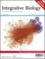 Graphical abstract: Front cover
