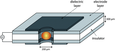 Graphical abstract: Development of a novel dielectric barrier microhollow cathode discharge for gaseous atomic emission spectroscopy