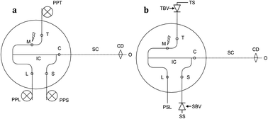 Graphical abstract: Coupling between chip based isotachophoresis and multi-collector inductively coupled plasma mass spectrometry for separation and measurement of lanthanides