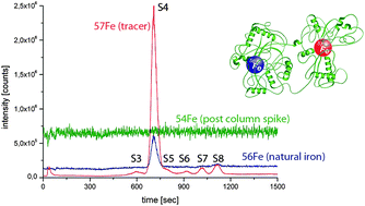 Graphical abstract: Comparison of different methods for the absolute quantification of harbour seal transferrin glycoforms using HPLC-ICP-MS