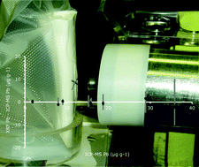 Graphical abstract: An interlaboratory comparison of bone lead measurements via K-shell X-ray fluorescence spectrometry: validation against inductively coupled plasma mass spectrometry