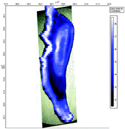 Graphical abstract: CellSpace: A module for creating spatially registered laser ablation images within the Iolite freeware environment