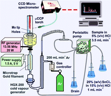 Graphical abstract: A novel analytical system with a capacitively coupled plasma microtorch and a gold filament microcollector for the determination of total Hg in water by cold vapour atomic emission spectrometry