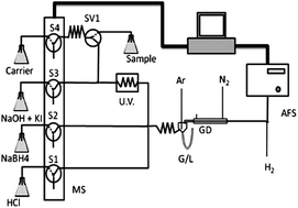 Graphical abstract: A MSFIA system for selenium speciation by atomic fluorescence spectrometry