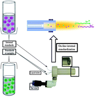 Graphical abstract: Correction of matrix effects for As and Se in ICP OES using a Flow Blurring® multiple nebulizer