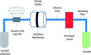 Graphical abstract: A separation system for lead fractionation in river water using electrothermal atomic absorption spectrometry