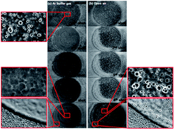 Graphical abstract: Influence of Ar buffer gas on the LIBS signal of thin CIGS films