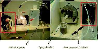 Graphical abstract: Determination of bromate in drinking waters using low pressure liquid chromatography/ICP-MS