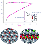 Graphical abstract: Lanthanide homometallic and d–f heterometallic MOFs from the same tripodal ligand: structural comparison, one photon (OP) vs. two photon (TP) luminescence and selective guest adsorption behavior