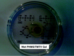 Graphical abstract: Novel polysiloxane and polycarbosilane aerogels via hydrosilylation of preceramic polymers